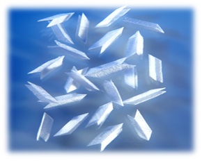 BioNOC-II-2s